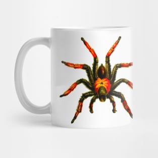 Araneae spider Mug